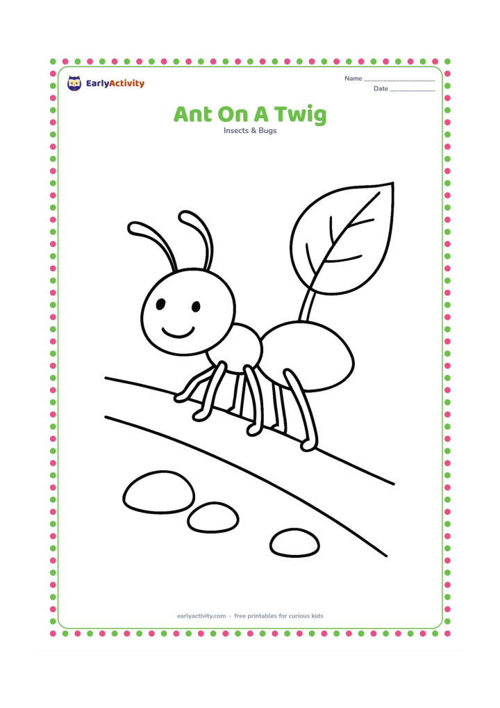 Colouring page: A single ant walks along a thick fallen twig angled across the page. Include one large leaf and a few simple stones below.