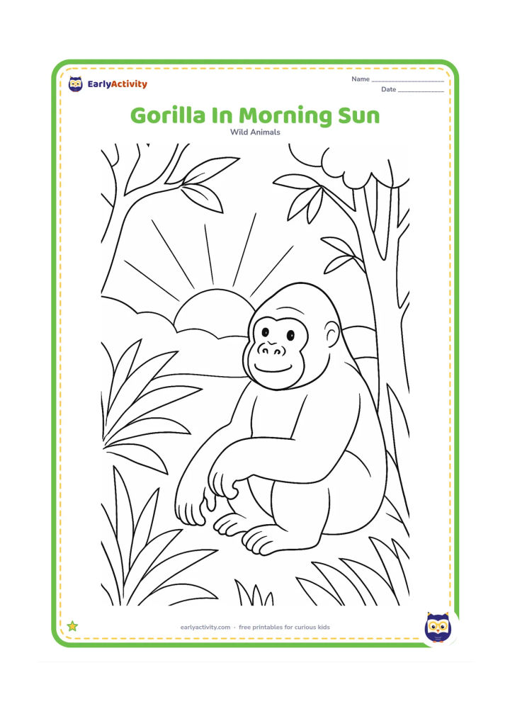 Colouring page: A gorilla sits near the edge of a rainforest clearing as the sun rises behind distant hills. Add long leaves, a few tree trunks and simple sun rays.