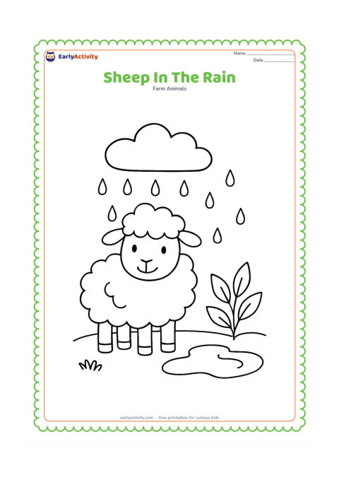 Colouring page: A sheep stands in a field beneath a cloud with falling raindrops, beside a small puddle and a leafy plant. Keep the weather gentle and cheerful.