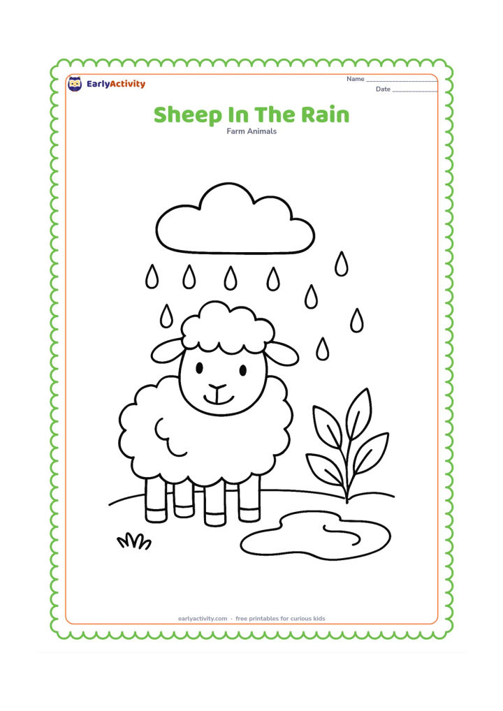 Colouring page: A sheep stands in a field beneath a cloud with falling raindrops, beside a small puddle and a leafy plant. Keep the weather gentle and cheerful.
