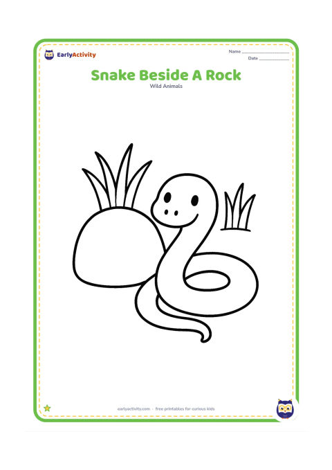 Colouring page: Draw a small snake curved beside one large rounded rock, with two broad grass clumps behind them. The snake should be the main central shape.