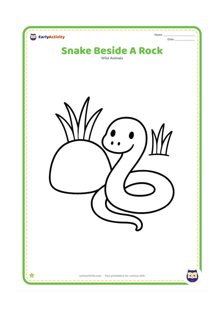 Colouring page: Draw a small snake curved beside one large rounded rock, with two broad grass clumps behind them. The snake should be the main central shape.