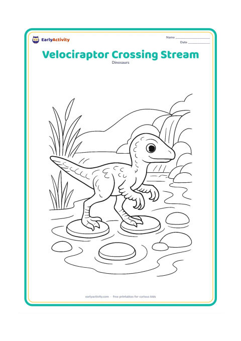 Colouring page: A small feathered velociraptor carefully steps across a shallow stream using three flat stepping stones, with reeds, a small waterfall, and rounded river rocks around it.