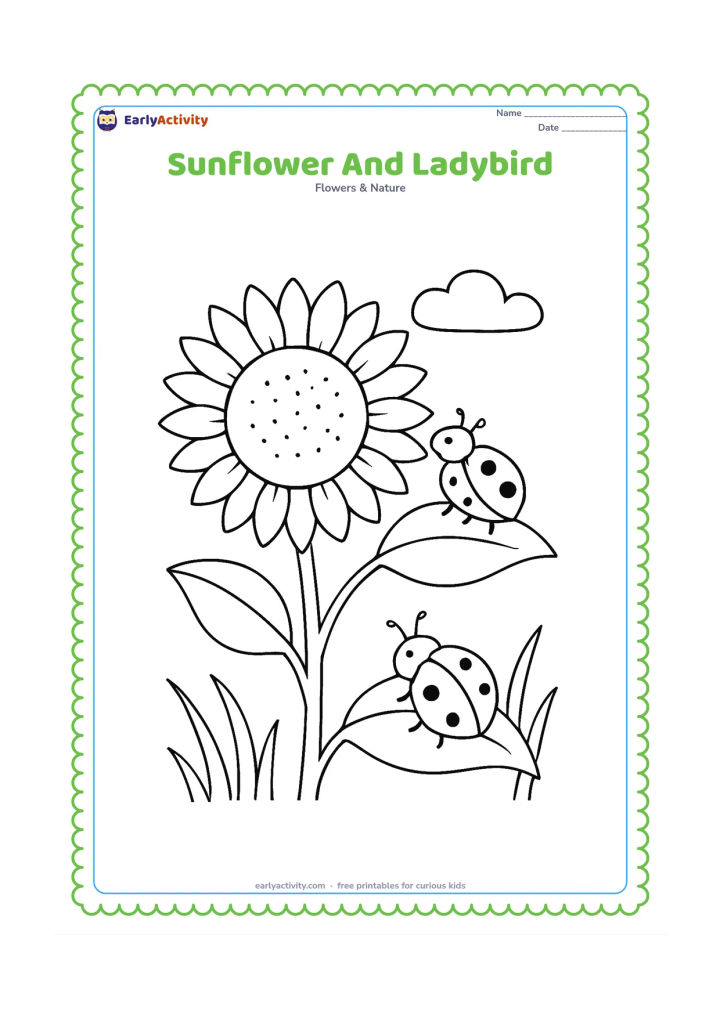 Colouring page: A large sunflower fills the left side while a ladybird rests on one petal and a second one sits on a leaf. Add a few curved stems, grass blades, and a soft cloud in the background.