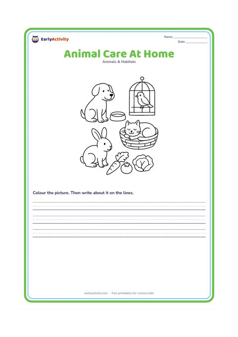 Worksheet: Draw a child-free pet-care scene showing a dog beside a water bowl, a cat resting in a basket, a rabbit near fresh vegetables and a bird in a clean cage. Include simple safe-care objects…