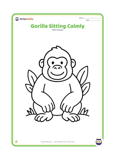 Colouring page: A friendly gorilla sits facing forward with large hands resting on its knees. Add only a few broad leaves and a simple ground line around the body.