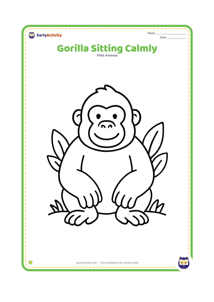 Colouring page: A friendly gorilla sits facing forward with large hands resting on its knees. Add only a few broad leaves and a simple ground line around the body.