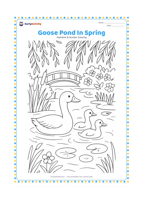 Colouring page: A family of geese swims across a spring pond surrounded by reeds, flowering shrubs, willow branches, lily pads, and a wooden footbridge. Show reflections as simple curved shapes.