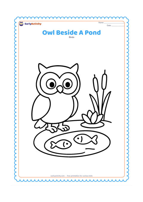 Colouring page: A standing owl looks toward a small pond containing two simple fish, with reeds and one broad water lily nearby.