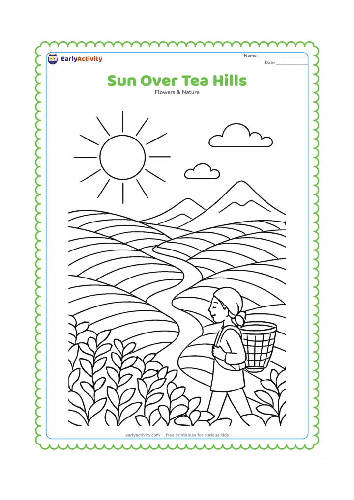 Colouring page: Draw the sun above rolling Indian tea plantations with curved rows of tea bushes, a narrow path, a worker carrying a basket, distant mountains and small clouds. Show the rows flowing…