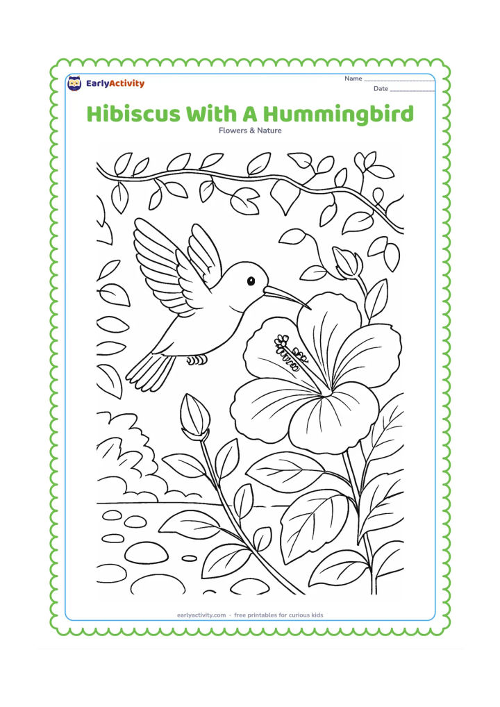 Colouring page: Draw a hummingbird hovering beside a large hibiscus, with its beak near the central tube, several leaves, two buds, and a garden background of vines and stones. The bird should look…