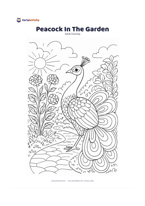 Colouring page: Draw a friendly peacock standing in profile beside flowering plants, with its tail partly fanned into large rounded feather sections. Add a garden path, leafy shrubs, and a sunny open…
