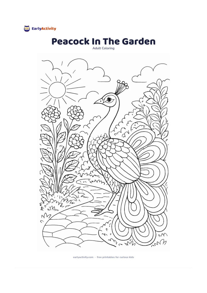 Colouring page: Draw a friendly peacock standing in profile beside flowering plants, with its tail partly fanned into large rounded feather sections. Add a garden path, leafy shrubs, and a sunny open…