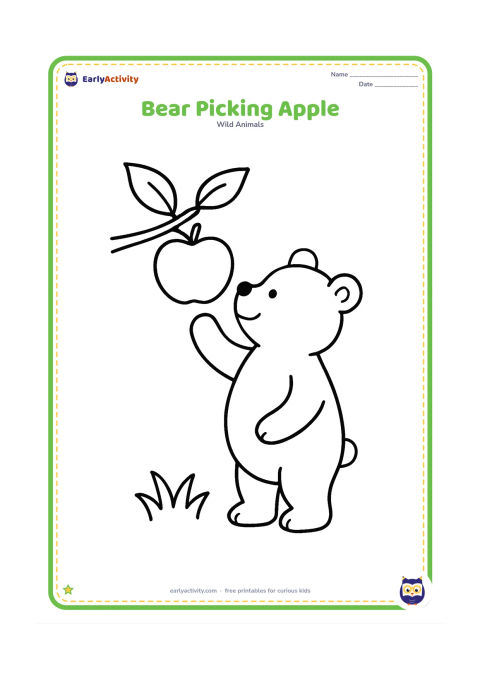 Colouring page: A standing bear reaches up toward one large apple hanging from a low branch, with two leaves and a patch of grass.