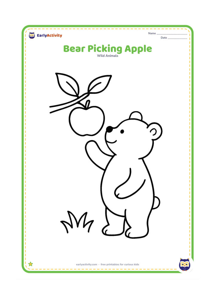 Colouring page: A standing bear reaches up toward one large apple hanging from a low branch, with two leaves and a patch of grass.
