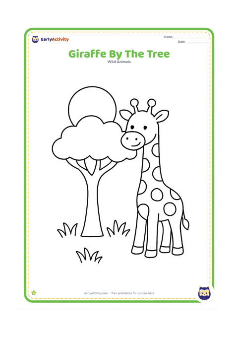 Colouring page: A giraffe stands beside a broad acacia tree with a low leafy canopy. Include a few tufts of grass and a large sun behind the tree.