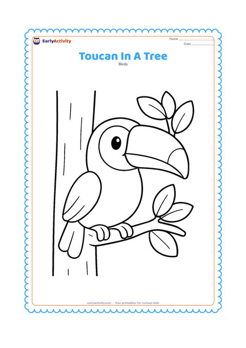 Colouring page: A smiling toucan peeks from a simple tree trunk with two broad branches and a small cluster of large leaves. Show the full head, bill, body, and feet clearly between the branches.