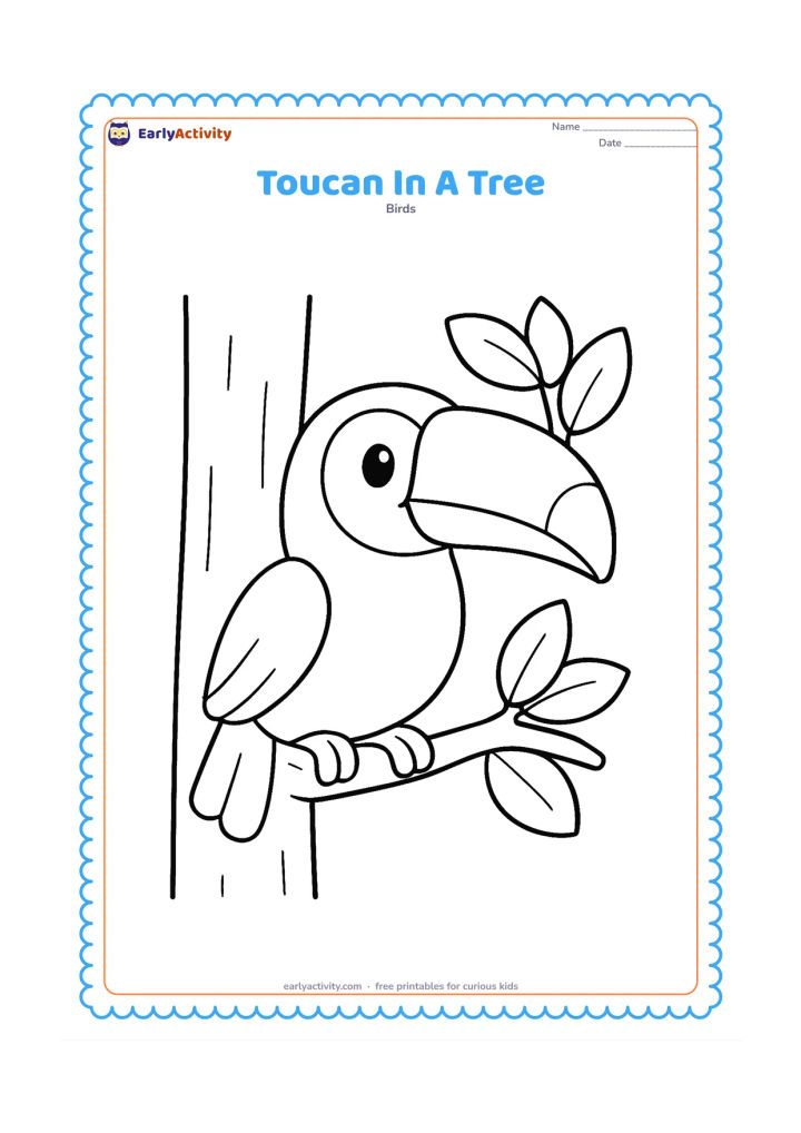 Colouring page: A smiling toucan peeks from a simple tree trunk with two broad branches and a small cluster of large leaves. Show the full head, bill, body, and feet clearly between the branches.