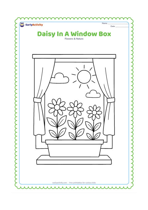 Colouring page: Draw a row of daisies in a window box beneath an open window, with simple curtains, a sill and a sunny sky visible outside. Include different flower heights and several leaves.