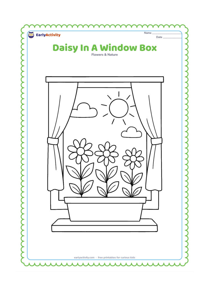 Colouring page: Draw a row of daisies in a window box beneath an open window, with simple curtains, a sill and a sunny sky visible outside. Include different flower heights and several leaves.