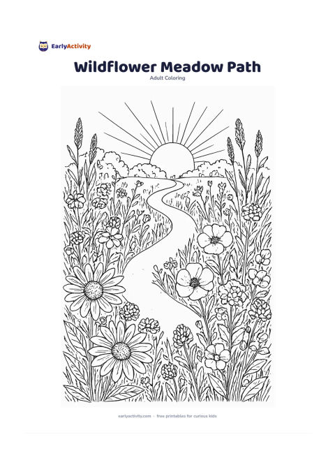 Colouring page: Create a winding path through a meadow of daisies, poppies, clover, grasses, and tall seed heads. Add a few distant leafy shrubs and a rising sun behind the plants.