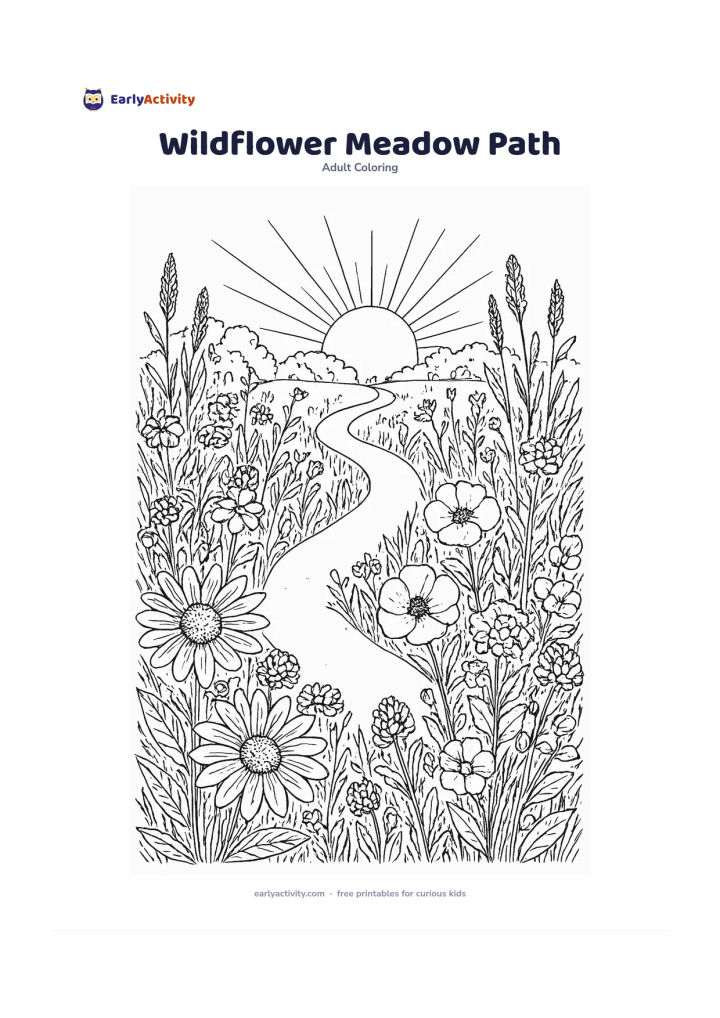 Colouring page: Create a winding path through a meadow of daisies, poppies, clover, grasses, and tall seed heads. Add a few distant leafy shrubs and a rising sun behind the plants.