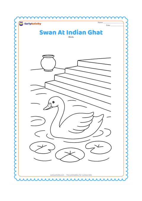 Colouring page: A swan swims beside broad stone steps leading down to a calm pond, with lotus leaves and a simple clay water pot placed safely on the top step. Show the steps receding behind the bird.