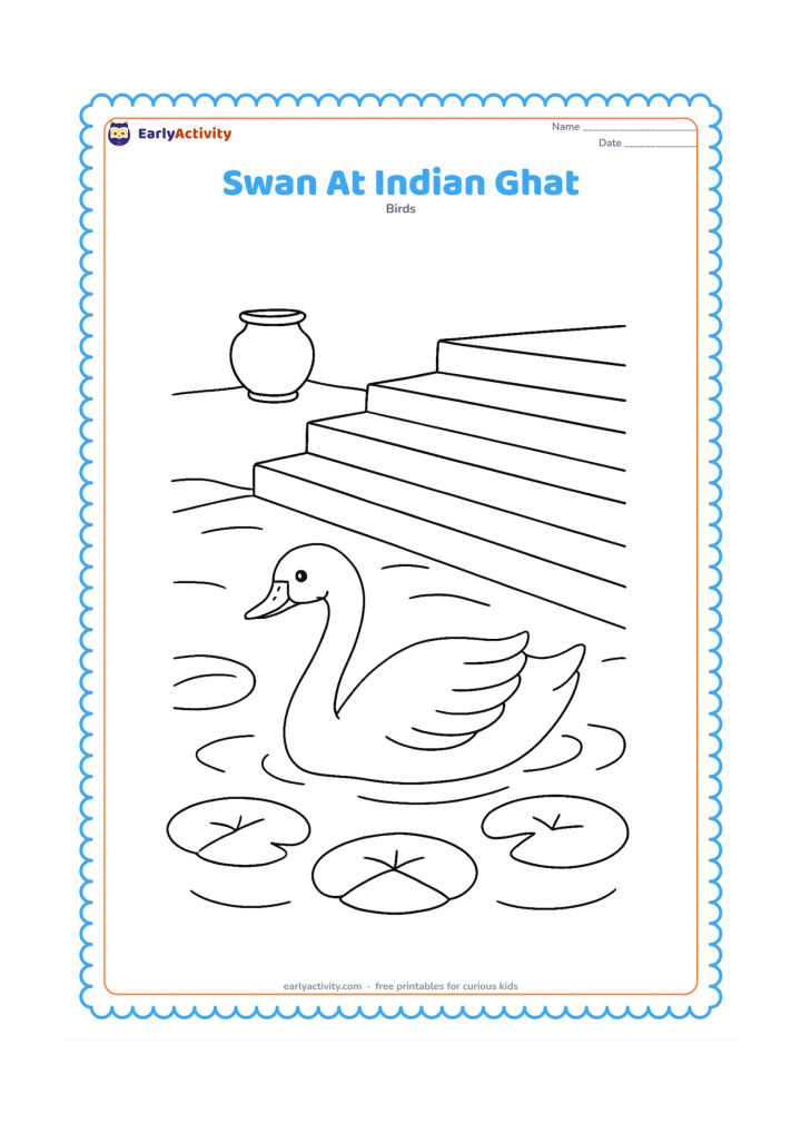 Colouring page: A swan swims beside broad stone steps leading down to a calm pond, with lotus leaves and a simple clay water pot placed safely on the top step. Show the steps receding behind the bird.