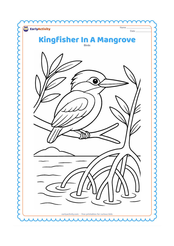 Colouring page: A kingfisher perches on a mangrove branch above shallow water, surrounded by tangled but open roots, long leaves and small ripples. Show a calm coastal background with one low island shape.