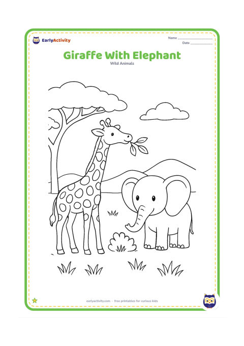 Colouring page: A giraffe and a friendly elephant share a savanna clearing, with the giraffe reaching toward leaves and the elephant standing near a small bush. Add an acacia tree, grass and distant hills.