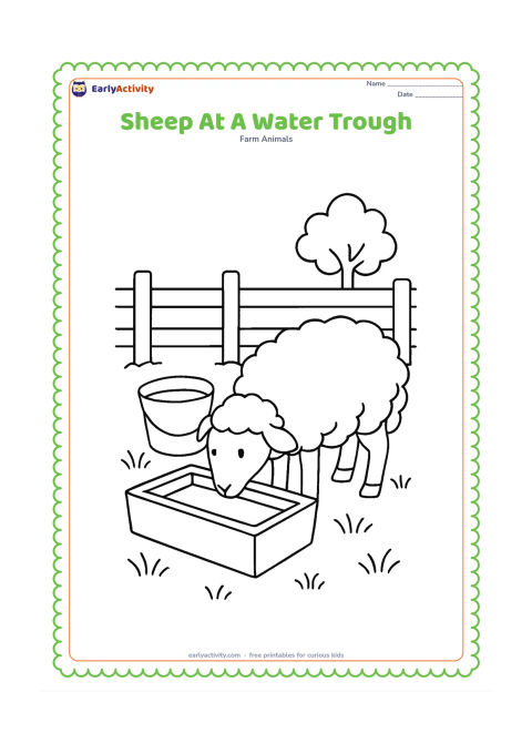 Colouring page: A sheep bends to drink from a simple rectangular water trough in a fenced farmyard, with a bucket, grass tufts and a small tree behind it. The bucket must be plain with no label.