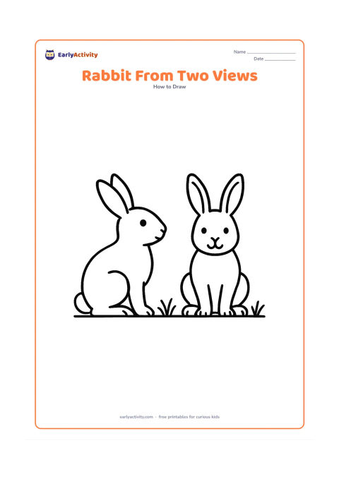 Worksheet: Show a standing side-view rabbit and a front-facing sitting rabbit together, with matching details for ears, eyes, nose, paws, body, hind legs and tail. Place them on a shared ground…
