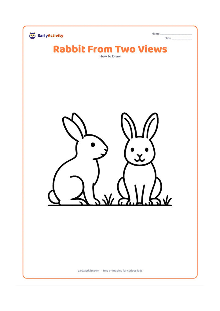 Worksheet: Show a standing side-view rabbit and a front-facing sitting rabbit together, with matching details for ears, eyes, nose, paws, body, hind legs and tail. Place them on a shared ground…