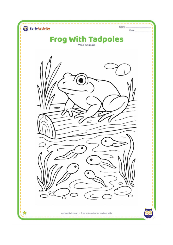 Colouring page: Draw an adult frog resting on a partially submerged log while several tadpoles swim through curling pond plants below. Add reflections, floating leaves, stones and thin reeds around the…