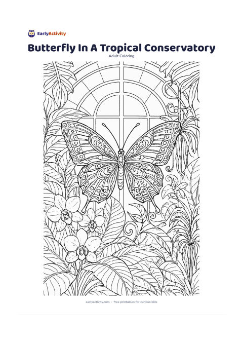 Colouring page: Draw a large butterfly among broad tropical leaves, orchids, curling vines, and hanging air plants inside a glass conservatory. Add simple arched window frames and richly divided wings…