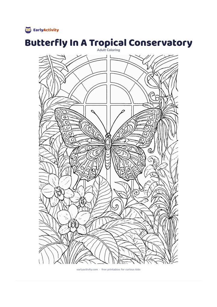 Colouring page: Draw a large butterfly among broad tropical leaves, orchids, curling vines, and hanging air plants inside a glass conservatory. Add simple arched window frames and richly divided wings…