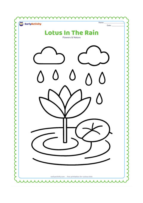 Colouring page: Draw one large lotus and one round leaf in a pond while a few big raindrops fall from two simple clouds. Show several wide ripples around the flower.