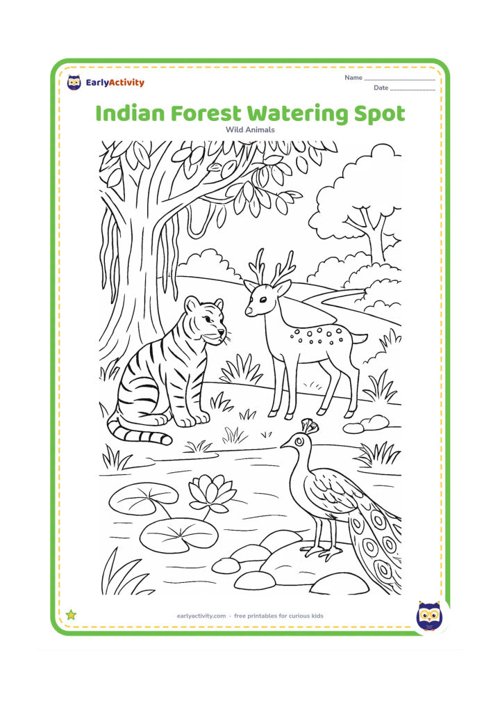 Colouring page: A tiger, spotted deer, and peacock gather peacefully near a forest watering place in an Indian woodland. Include a banyan tree, lotus leaves, grasses, smooth stones, and a distant path.
