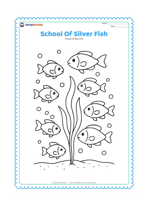 Colouring page: Draw a school of seven fish moving in a curved formation around a tall sea plant, with varied body sizes, bubbles and a sandy seabed. Each fish should have visible fins, tails and gill…