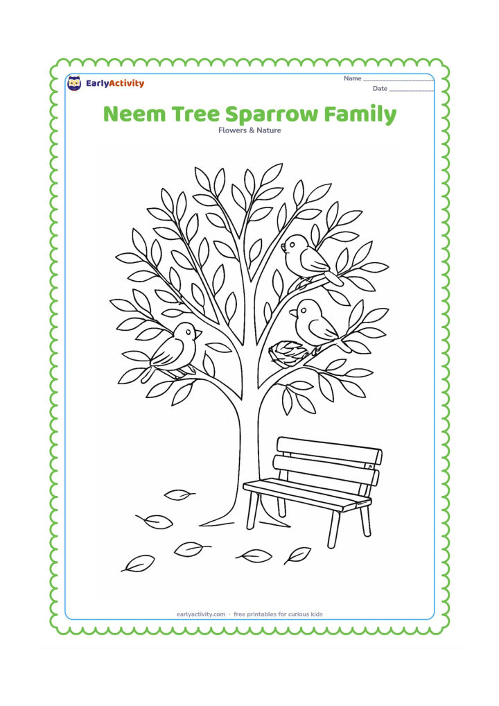 Colouring page: Draw a leafy neem tree with three sparrows perched on separate branches, a small nest, and a few fallen leaves on the ground. Add a simple park bench beneath the tree.