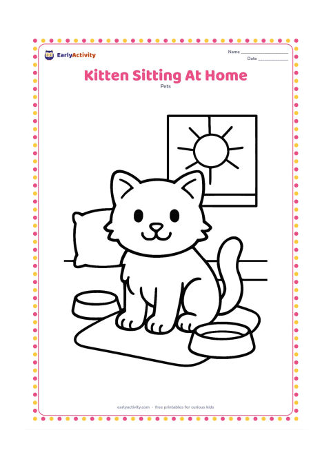 Colouring page: A fluffy kitten sits upright on a small rug beside a food bowl and water bowl. Show a simple wall, one cushion and a sunny window with large open areas.