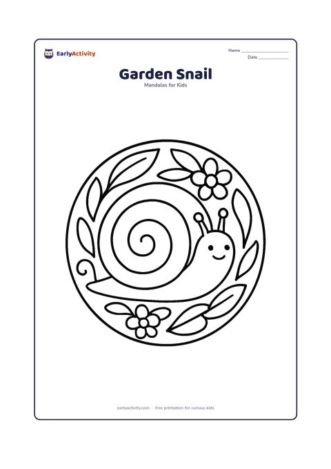 Colouring page: A circular mandala featuring a friendly snail in the centre, with its spiral shell forming the main repeated circle. Add a few large leaves, flowers and curved lines around the outer edge.