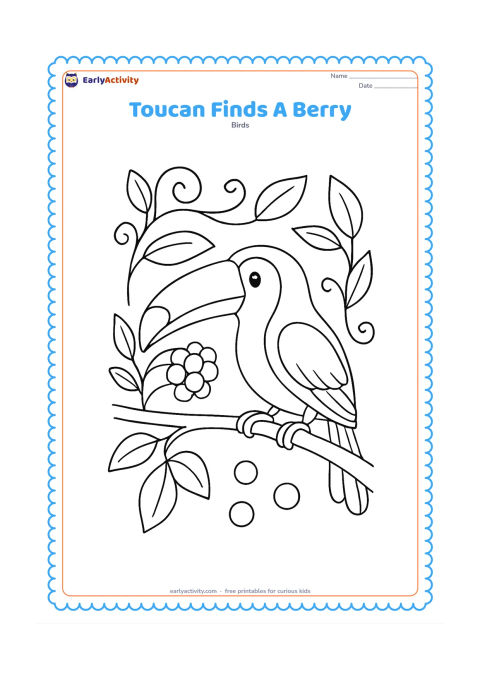 Colouring page: A toucan leans forward from a branch to pick a large berry from a small fruit cluster. Add curling vines, several broad leaves, and a few separated berries around the branch.