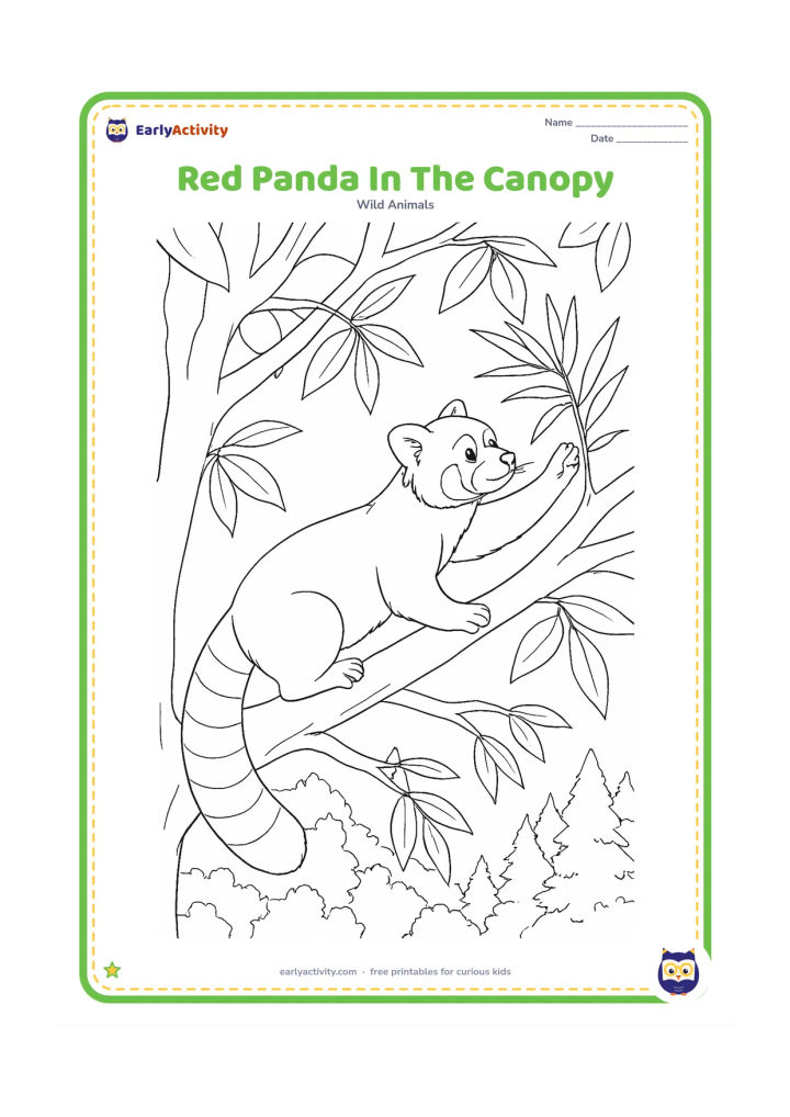 Colouring page: Draw a red panda stretched along a high tree branch, reaching toward a cluster of bamboo leaves. Show layered branches, overlapping leaves and glimpses of distant Himalayan forest below.