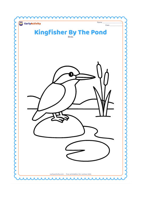 Colouring page: A kingfisher stands on a broad stone beside a quiet pond, facing the water. Add one large lily pad, two simple reeds and a low curved shoreline.
