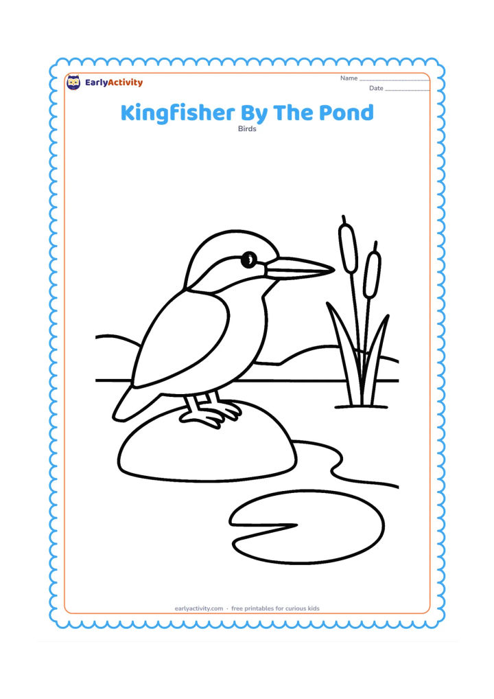 Colouring page: A kingfisher stands on a broad stone beside a quiet pond, facing the water. Add one large lily pad, two simple reeds and a low curved shoreline.