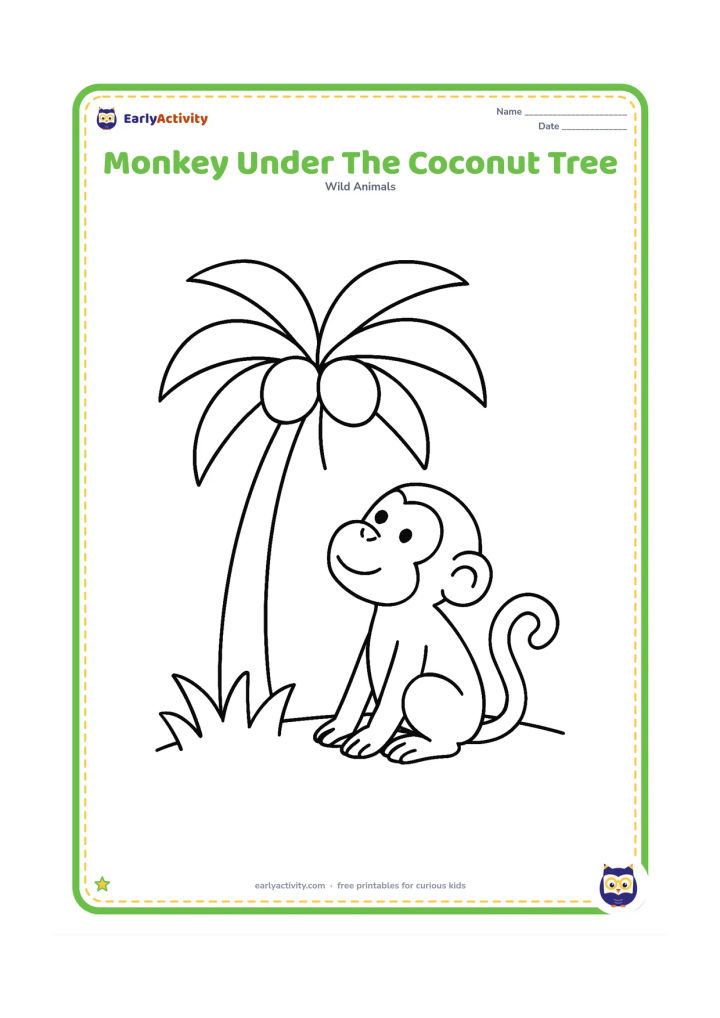 Colouring page: Draw one monkey sitting under a coconut tree and looking up at two large coconuts. Include a curved ground line and a few wide grass shapes.