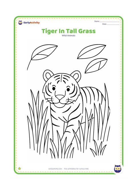Colouring page: A tiger walks through tall grass with its head and shoulders clearly visible above the blades. Add a bright open sky area, three broad leaves, and a few grass tufts.