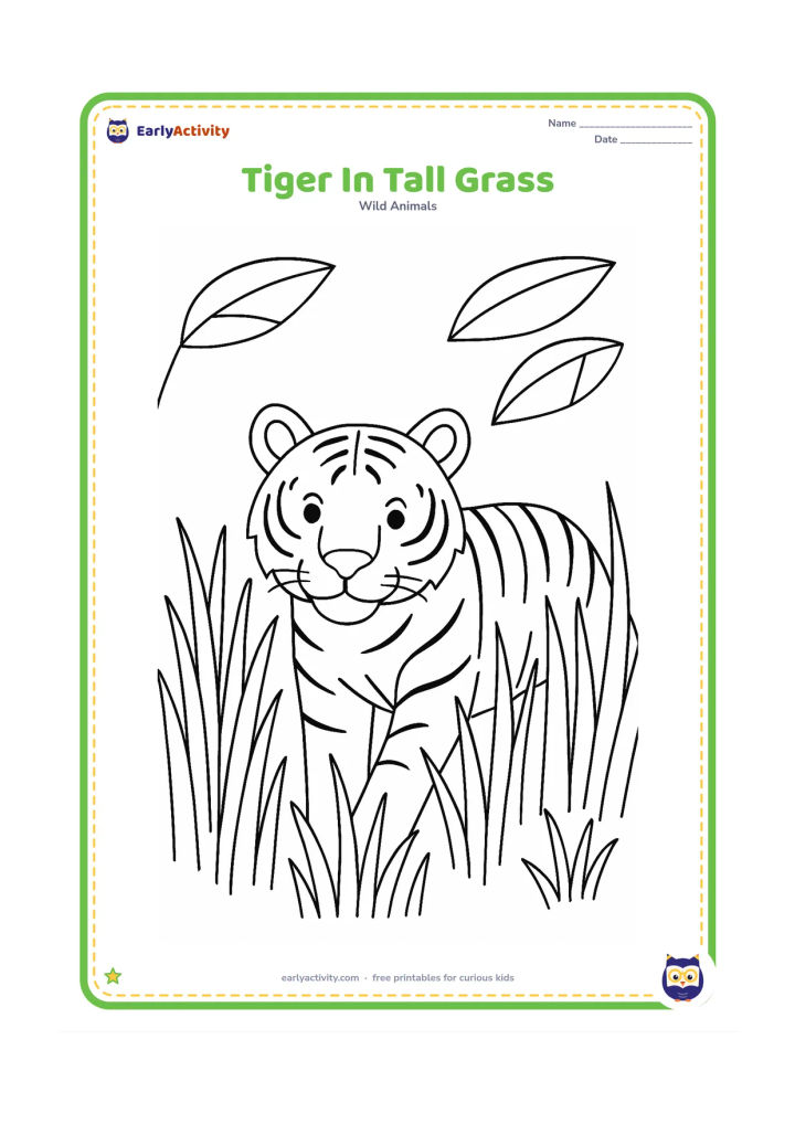 Colouring page: A tiger walks through tall grass with its head and shoulders clearly visible above the blades. Add a bright open sky area, three broad leaves, and a few grass tufts.