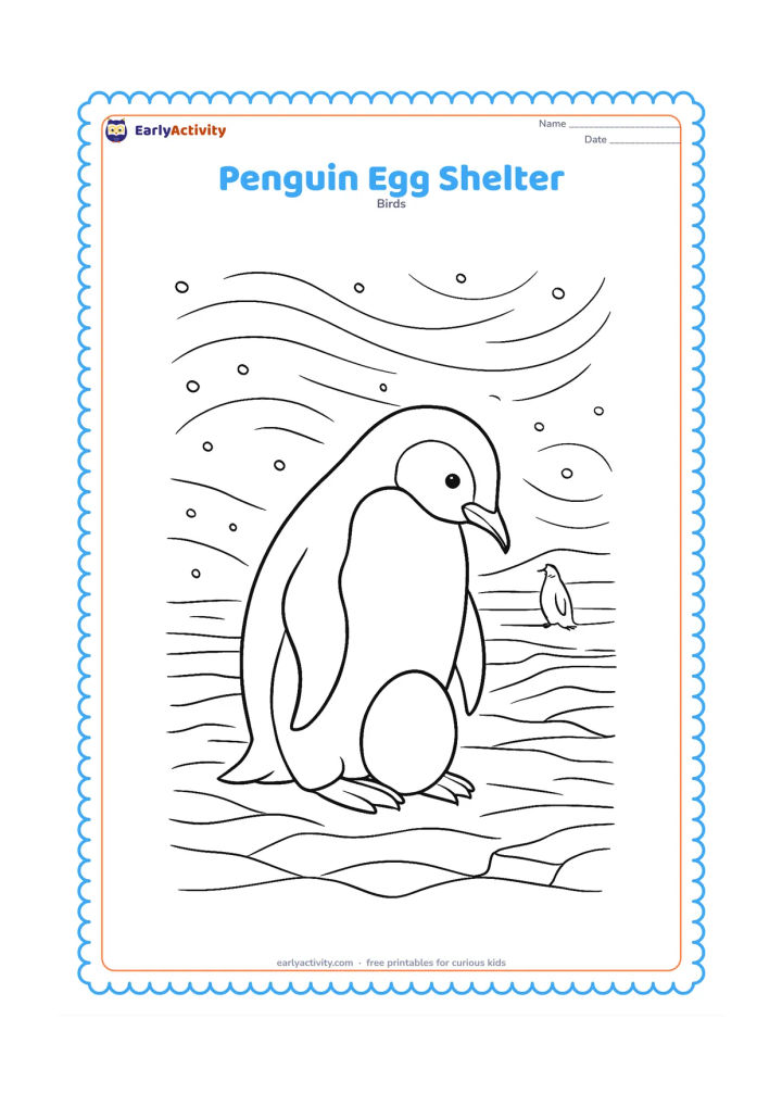 Colouring page: Draw an adult penguin carefully sheltering an egg beneath its belly on a windy ice shelf. Surround it with sweeping wind lines, drifting snow, layered ice, a second penguin in the…